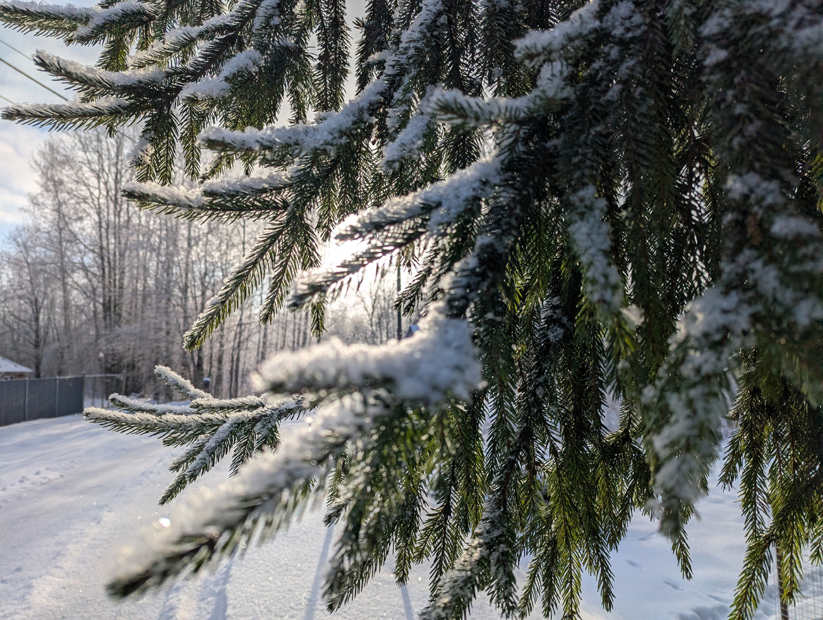 -20