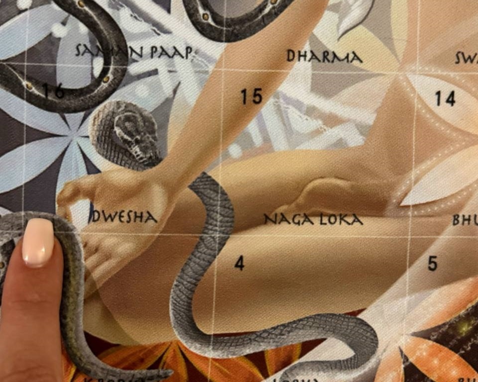 клетка 16 Двеша