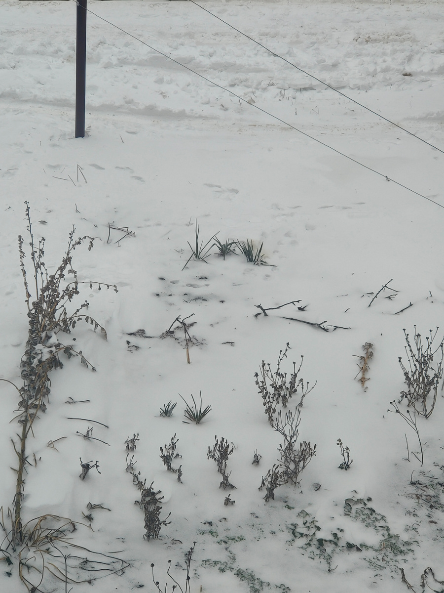 Дождь поверх снега