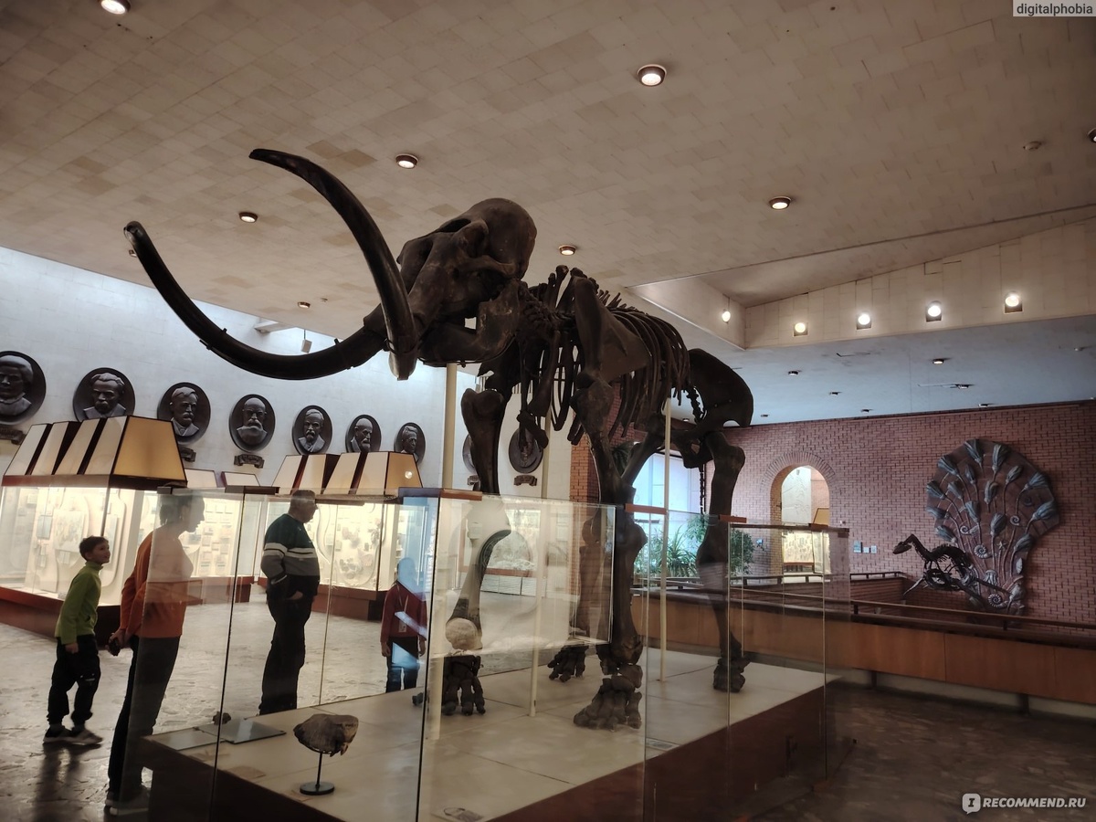 Фото из инетернета