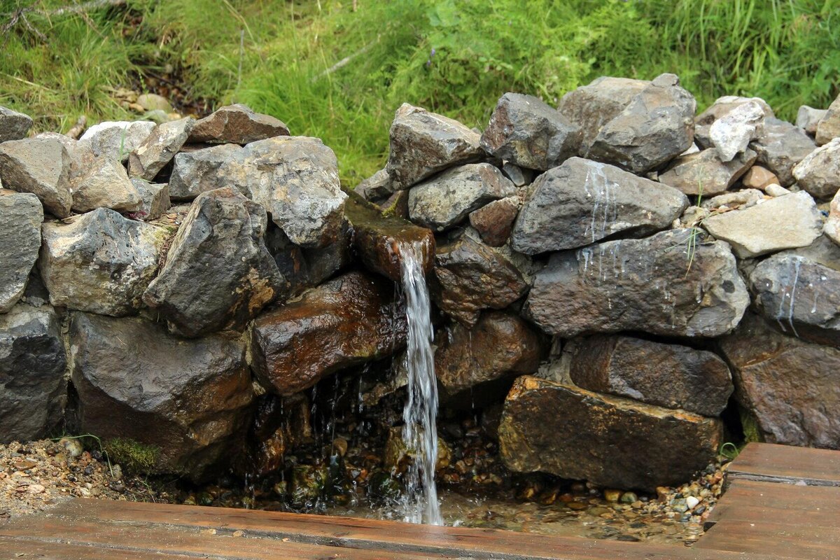 Фото из Яндекса