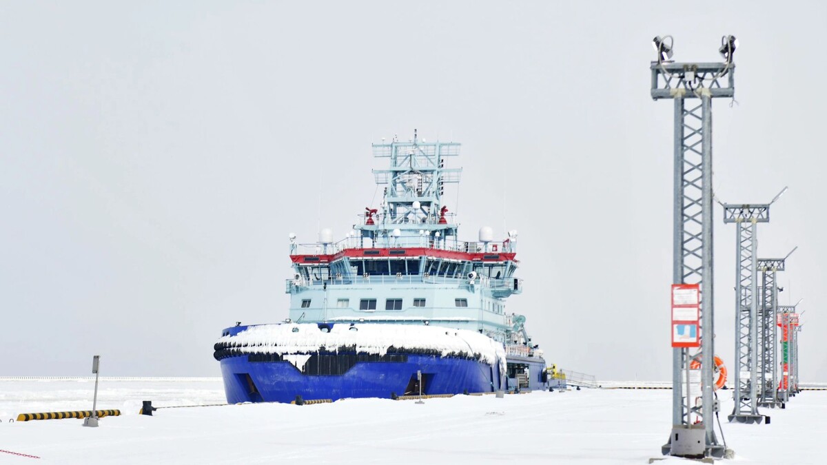    Фото: Андрей Ткачев / «Ямал-Медиа»