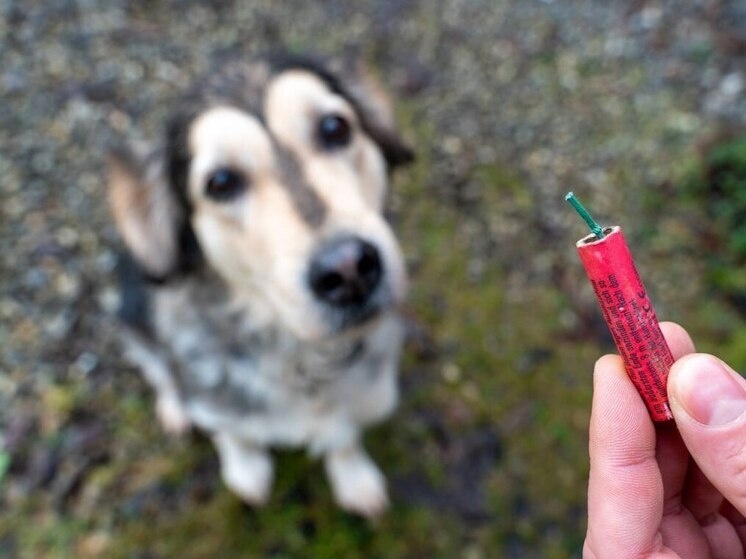     © IMAGO/Michael Bihlmayer/ www.imago-images.de/ Global Look Press