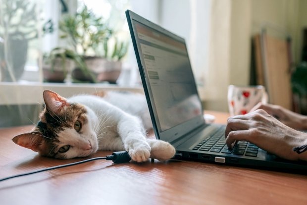    Фото: iStock Василий Шеин