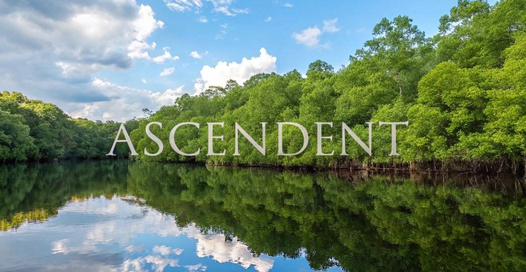 Асценденты (ч. 2). Рак, Скорпион, Рыбы