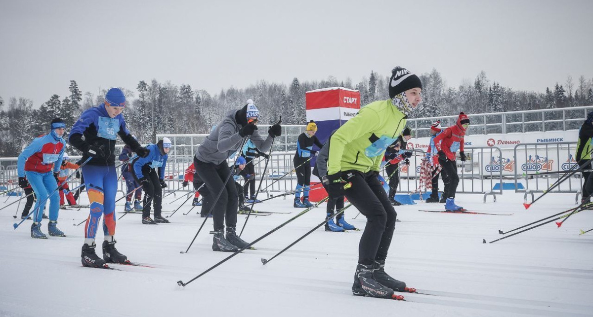    телеграм-канал Михаила Евраева