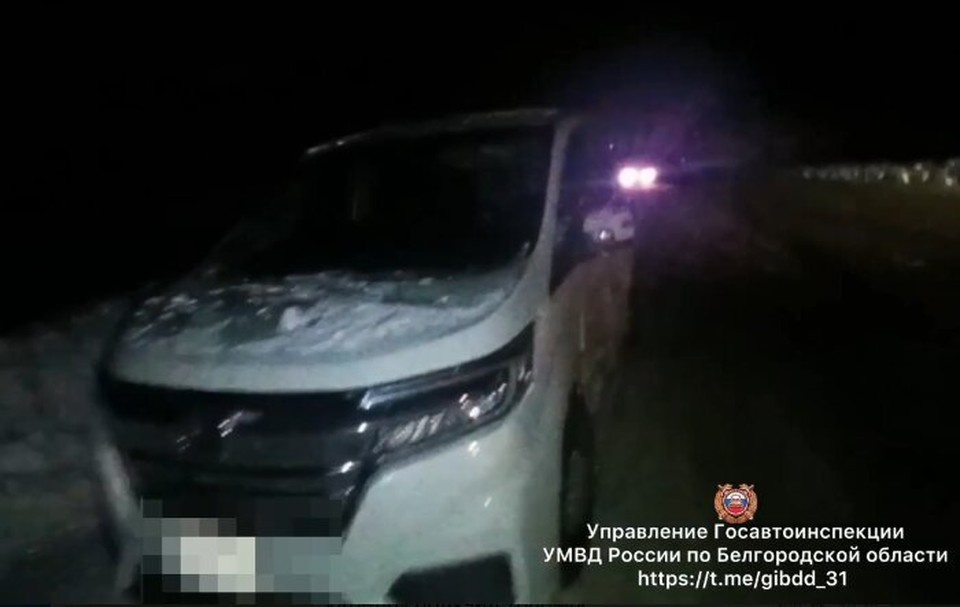    Фото Госавтоинспекции Белгородской области