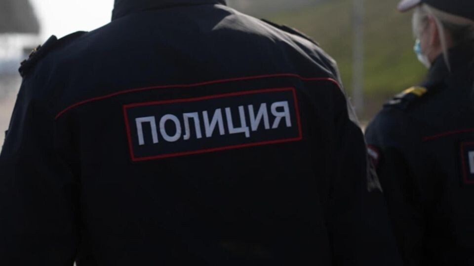    Полиция. Источник: Анна Меньшикова, ТОЛК