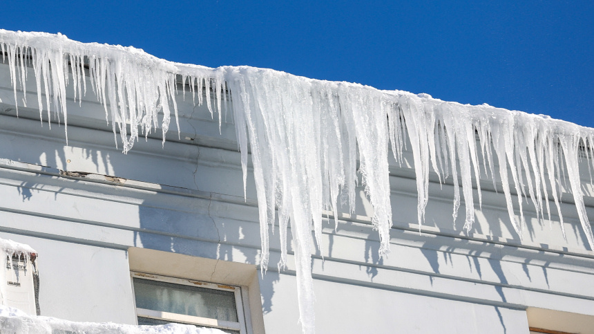    Фото: Данил Айкин/ТАСС; 5-tv.ru