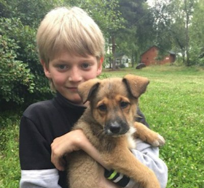 В Санкт-Петербурге шестиклассник вынес собаку из горящей квартиры и сам потушил пожар