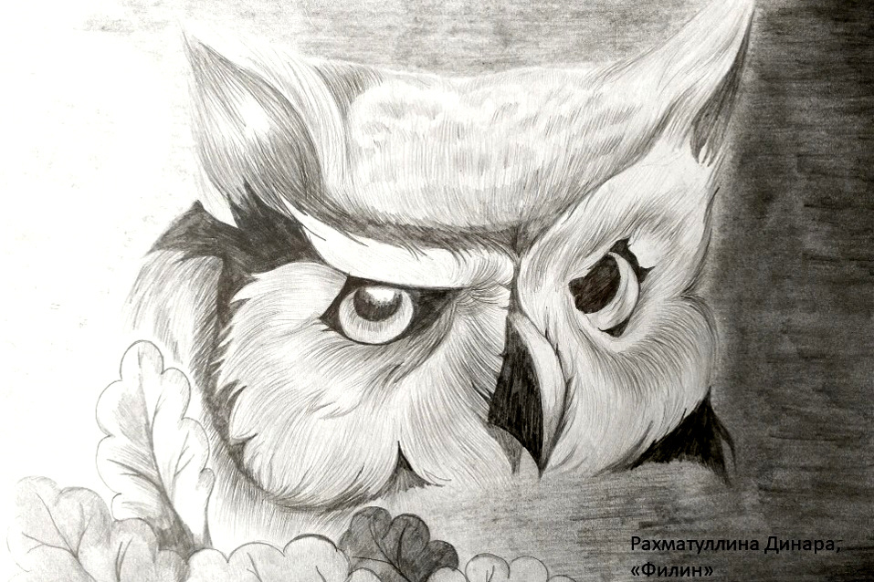    Фото Центра детского творчества