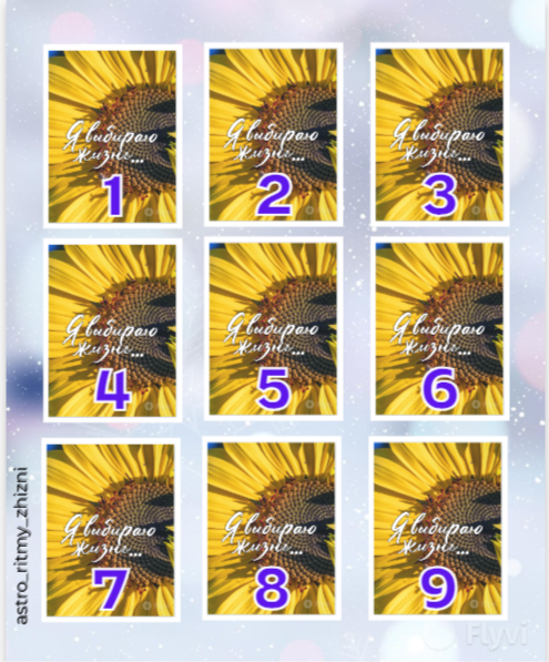 выбирайте по душе