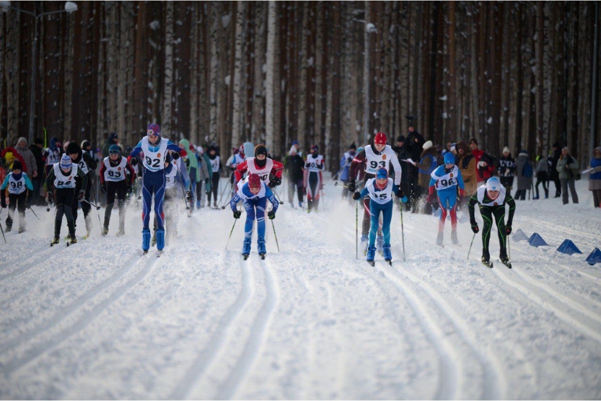    Фото: АО «Святогор»