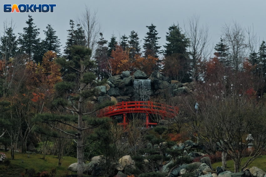 Фото: «Блокнот Краснодар"