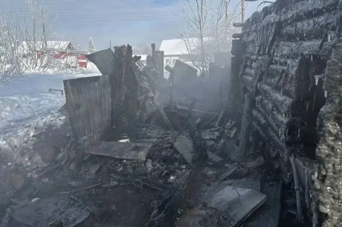    Опубликованы фото с пожара под Пензой в Каменке, где погиб мужчина