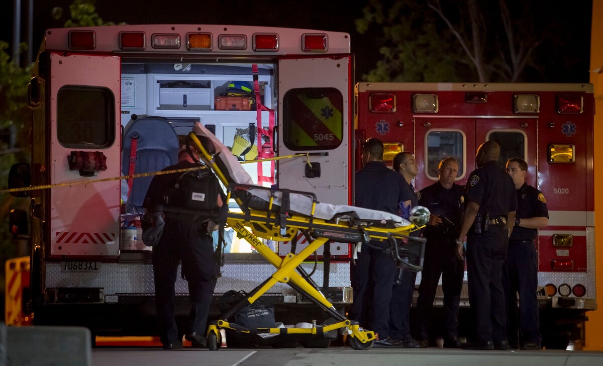     / Источник: © Global Look Press