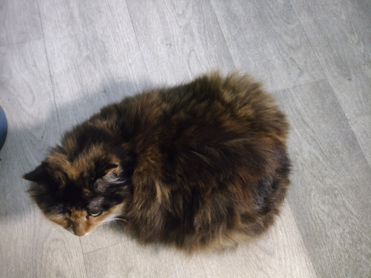 Ох и широка ))))