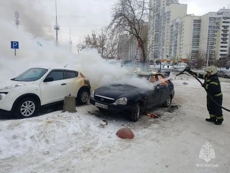     Фото: ГУ МЧС России по Свердловской области