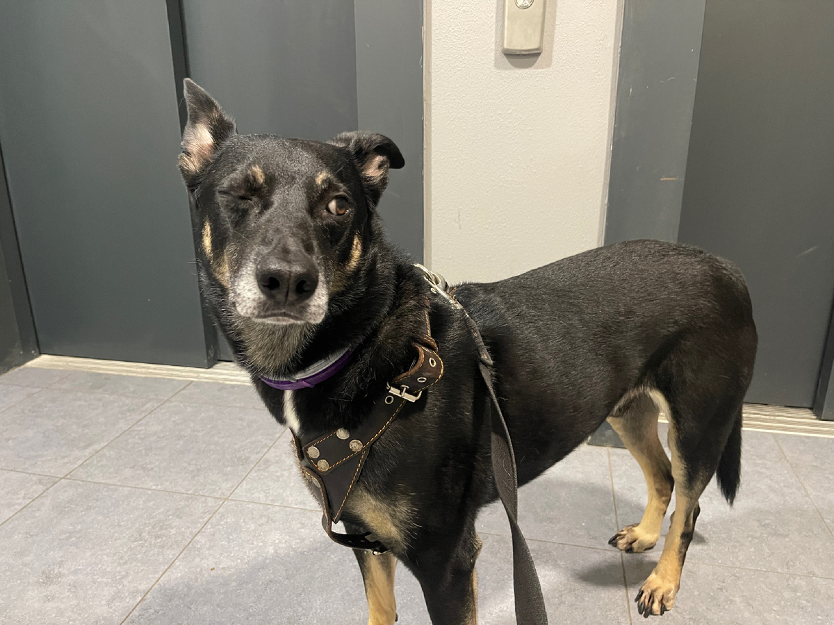 Типо подмигиваю вам 😂