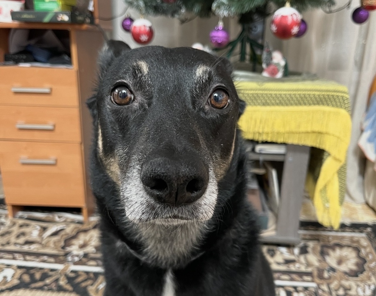 Это я смотрю на вас и думаю: «Почему вы еще не хотите и туда подписаться на меня 🤔?»