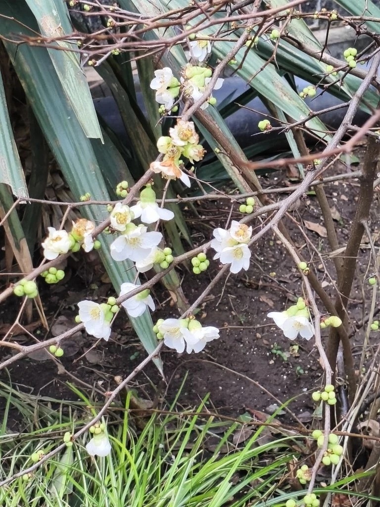 Это Ялта сегодня 07.02.26г.