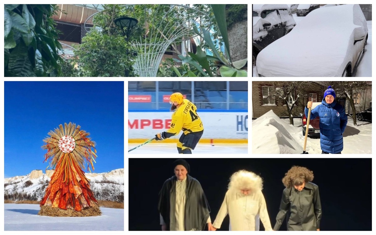    «Сливки соцсетей»: зеленые оазисы в аэропорту, рекордные морозы и Масленица