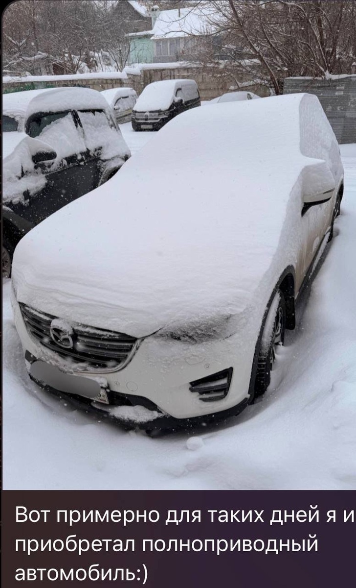    «Сливки соцсетей»: зеленые оазисы в аэропорту, рекордные морозы и Масленица Дарья Музычина