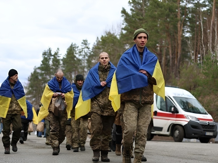     Фото: кадр из видео