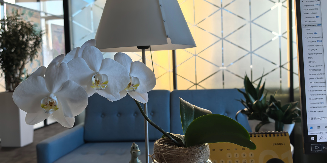 Снова неделя пролетела. Что мне запомнилось