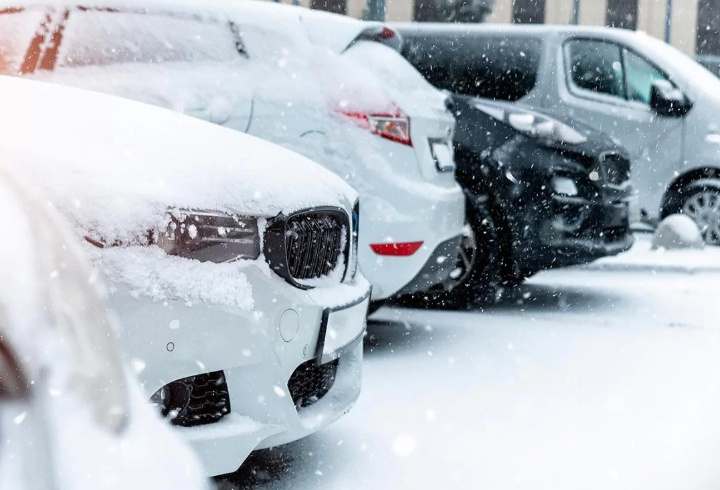 фото: pxhere.com