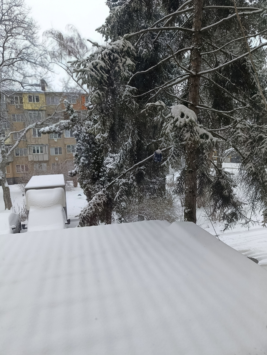 Фото автора