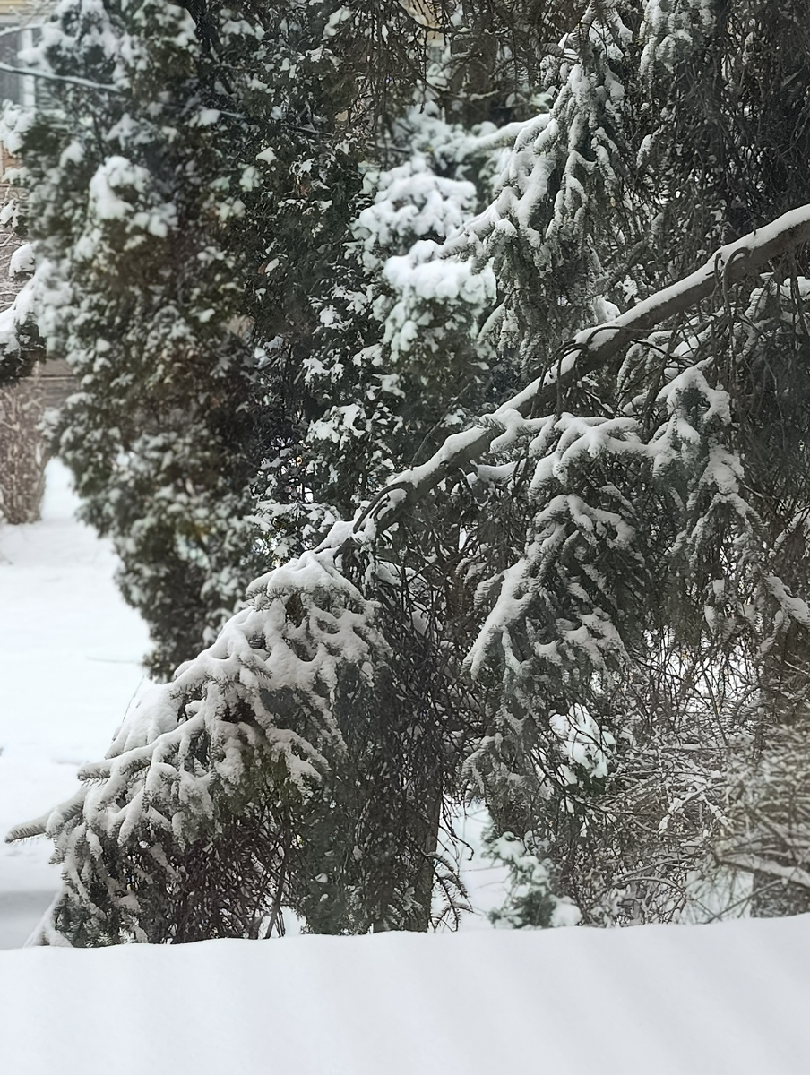 Зачем то опять похолодало