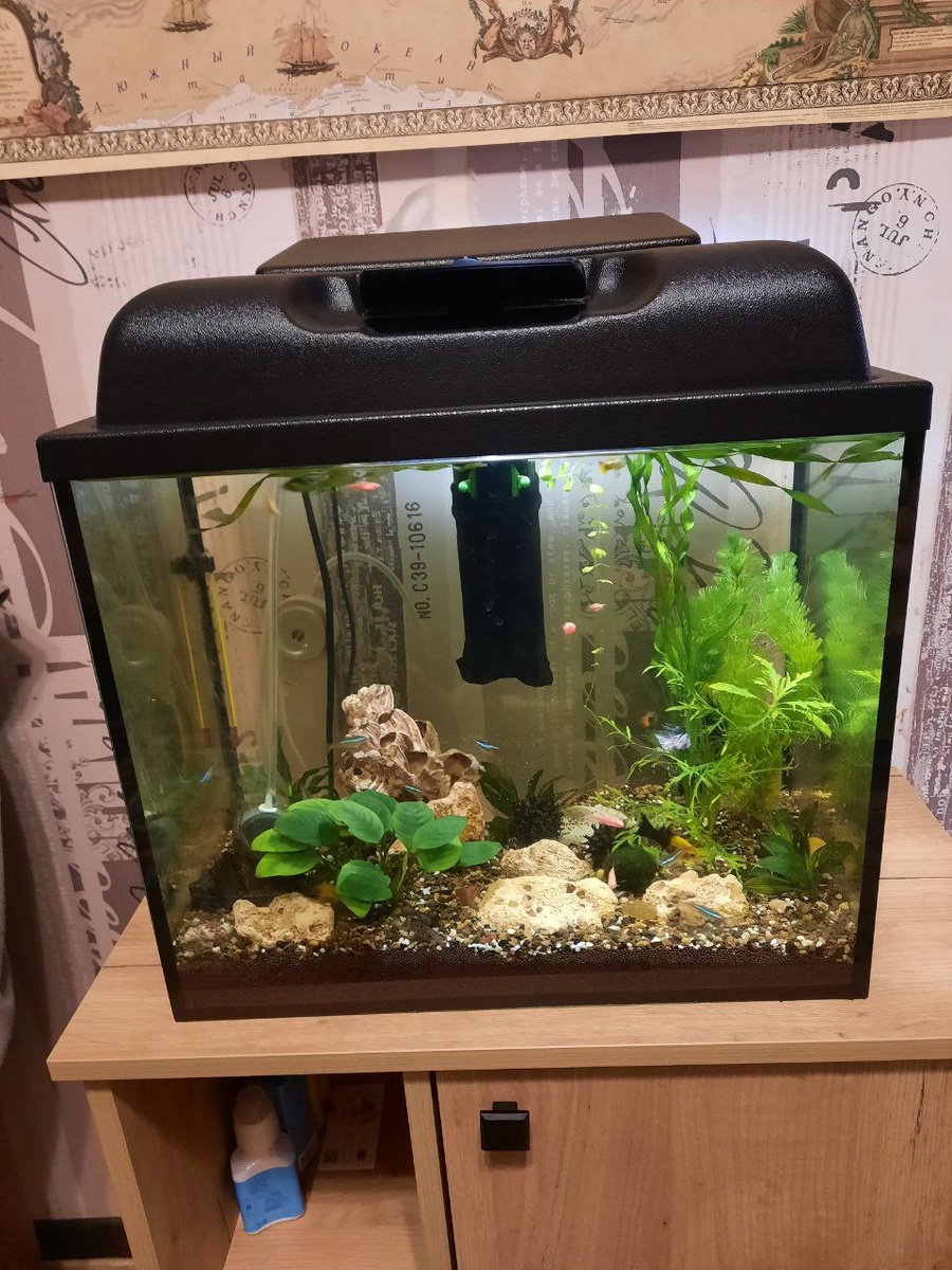 Наш аквариум на 35 литров