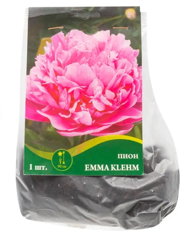 Пионы в Фикспрайс