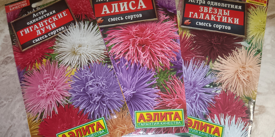 Готовимся к весне, набрали семян