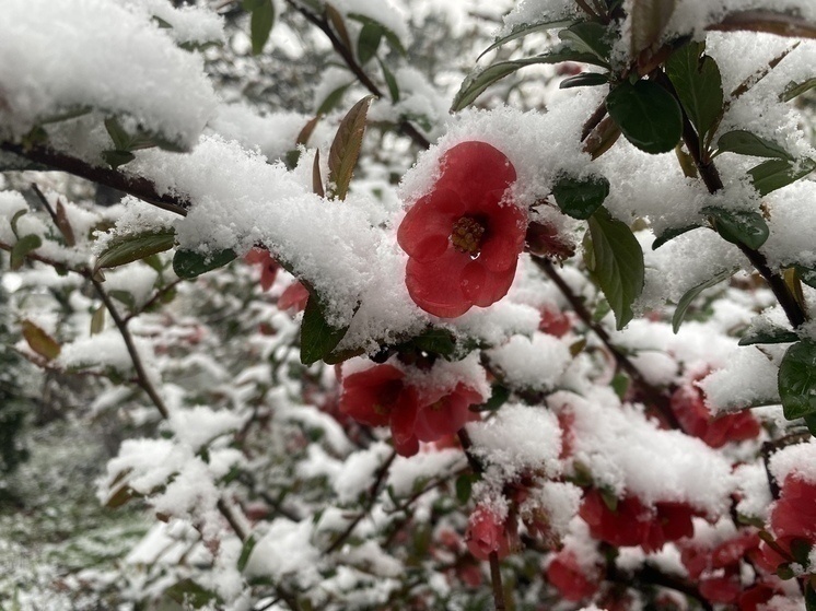     Фото: МК в Крыму