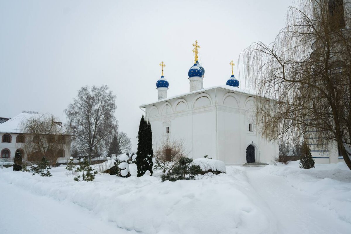    Фото: телеграм-канал Владислава Шапши.