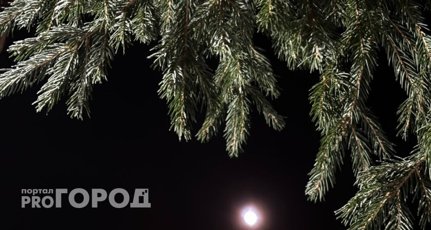    Фото "Про Город"