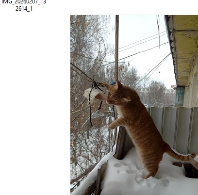 Личное фото