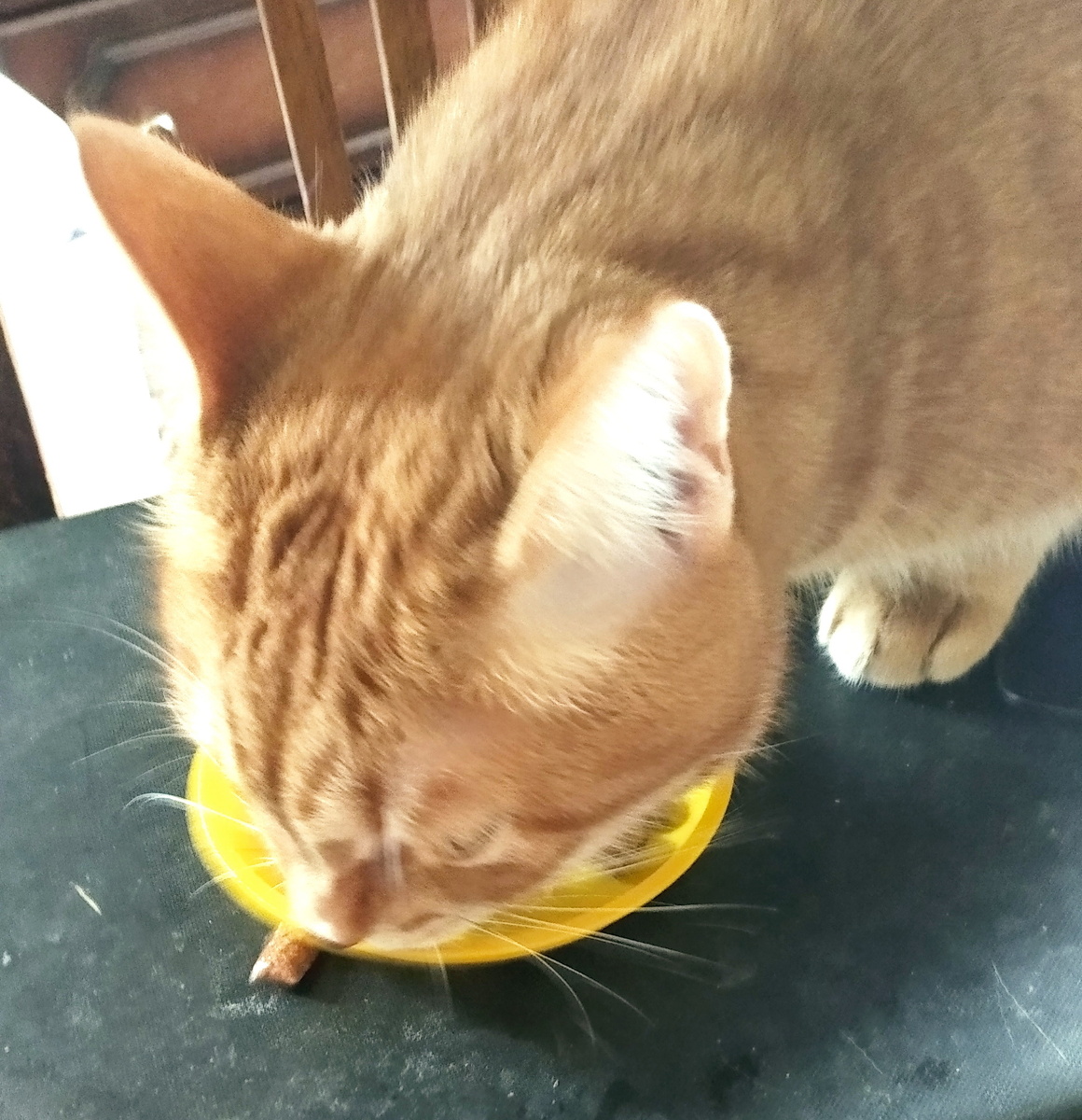 личное фото