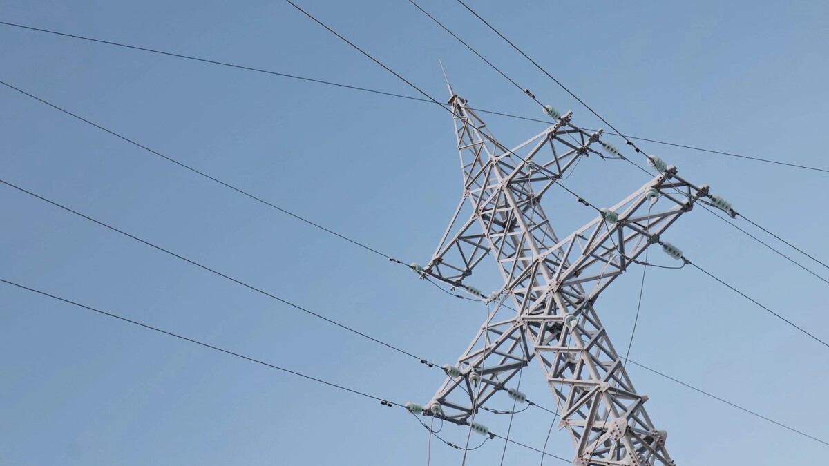    Фото: Андрей Ткачев/«Ямал-Медиа»