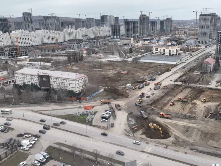     Фото: кадр видео мэрии Грозного