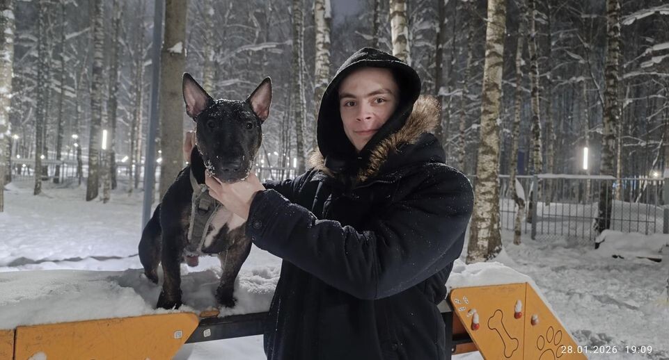    МедиаБанк Подмосковья/Екатерина Федосеева