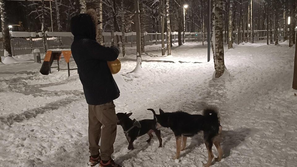     МедиаБанк Подмосковья / Екатерина Федосеева