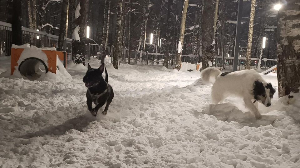     МедиаБанк Подмосковья / Екатерина Федосеева