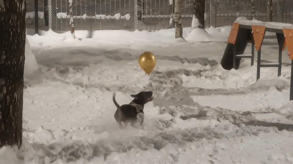     МедиаБанк Подмосковья / Екатерина Федосеева