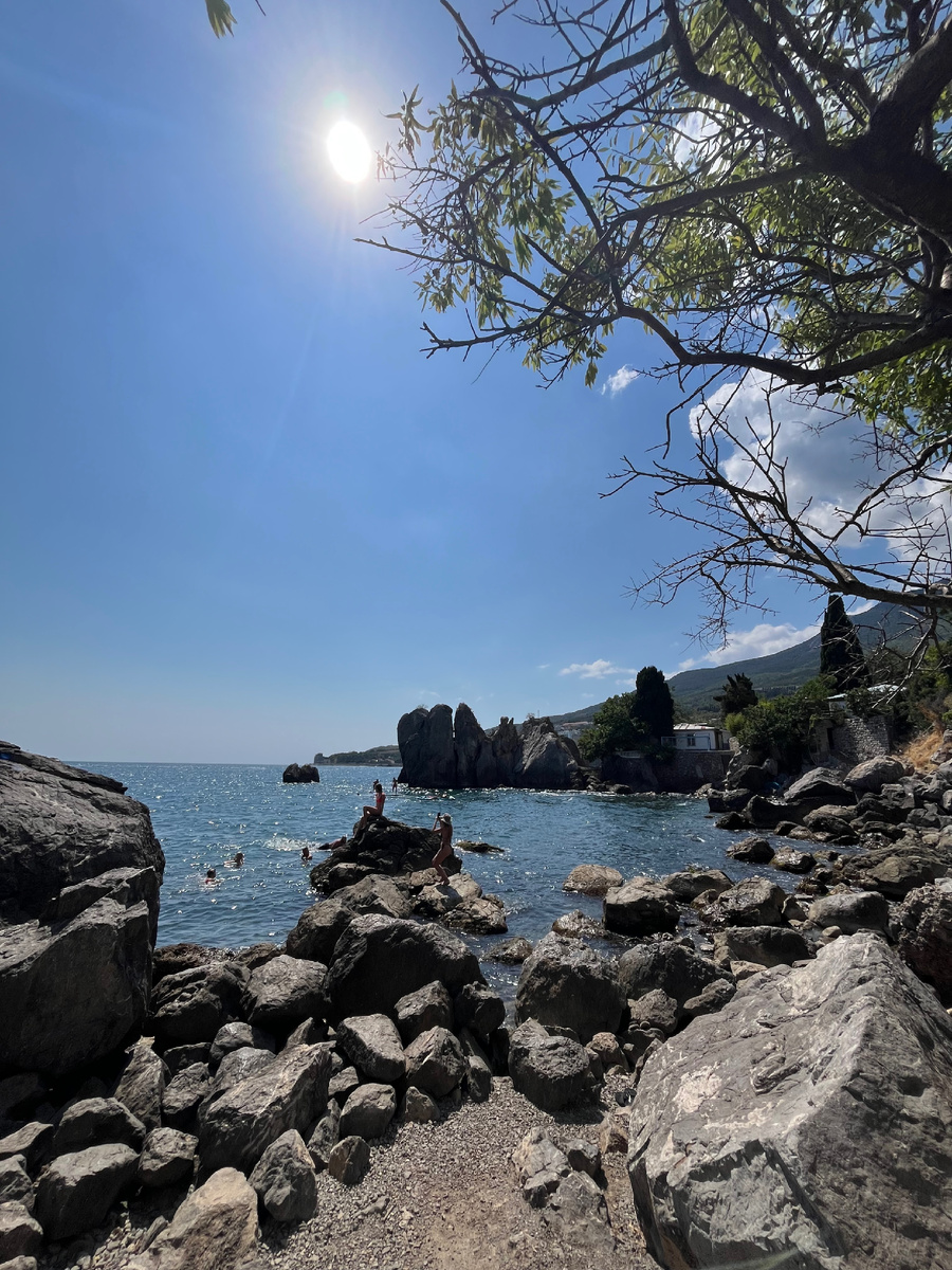 Бухта летом. Фото Светличный Е.