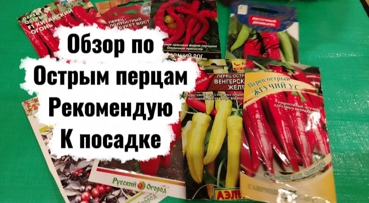 Коллаж автора статьи