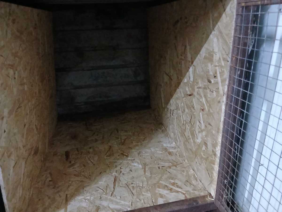 Новая клетка в вет.блоке приюта, вид изнутри