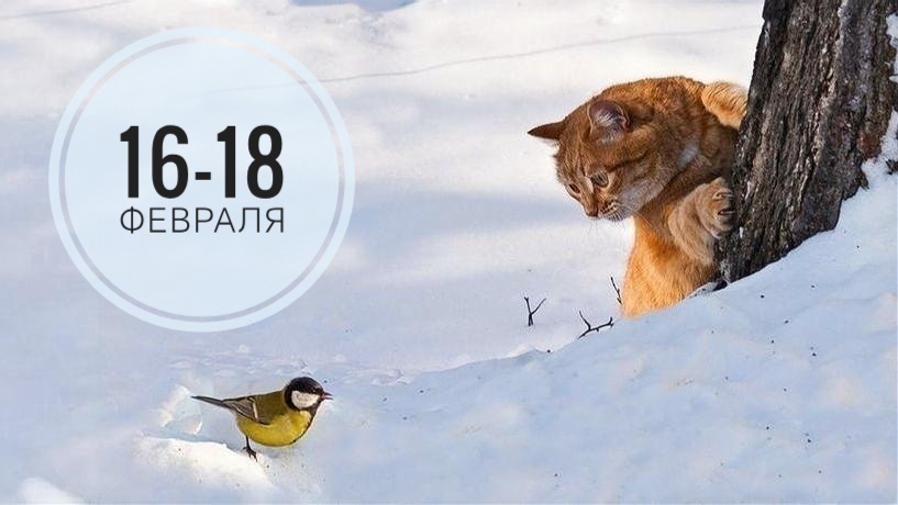 Нумерологический прогноз на 16-18 февраля 2026 года